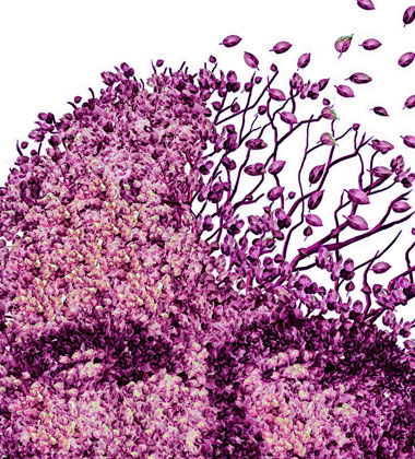 Alzheimer ve Demans Arasındaki Fark?